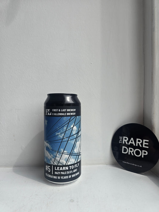 Learn To Fly | Hazy Pale | 5.5%
