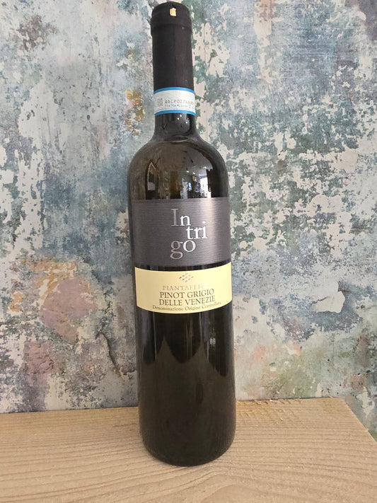 Intrigo | Pinot Grigio | 12%