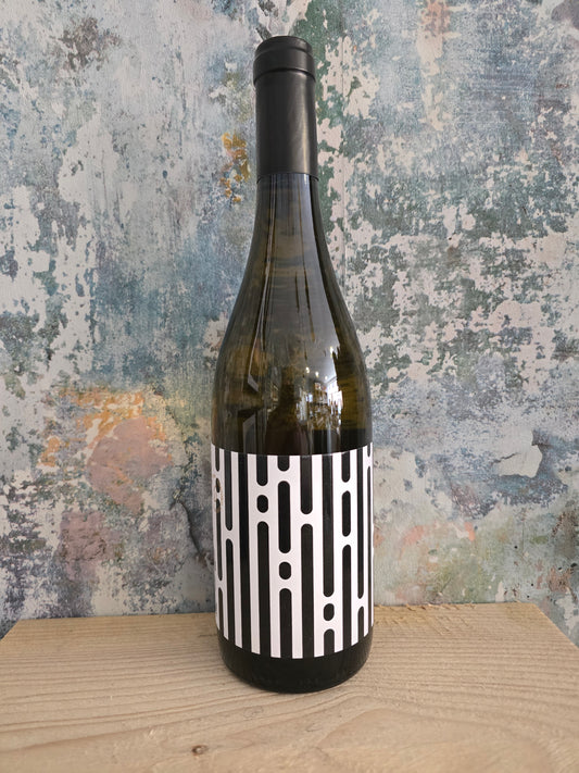Adaras Lluvia | Verdejo Sauvignon Blanc Almansa DDO 2023 | 12.5%