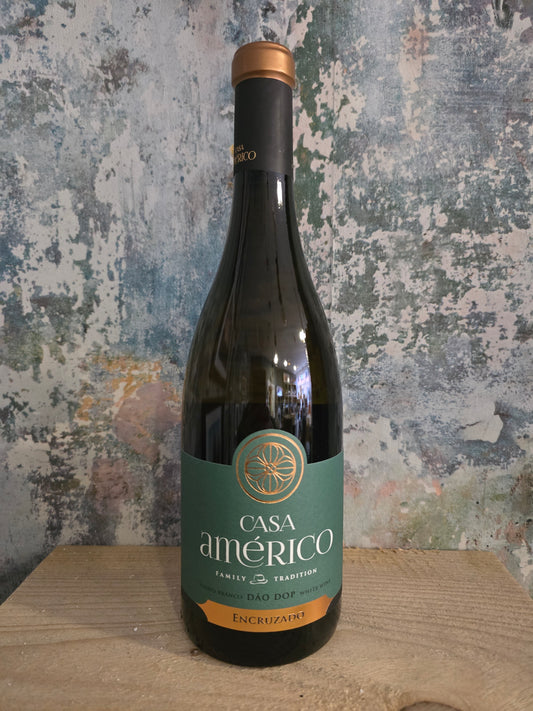 Casa Américo | Encruzado 2022 | 13.5%