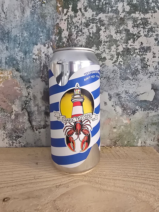 Yer Fond Of Me Lobster, Ain't Ye? | Porter | 4.5%