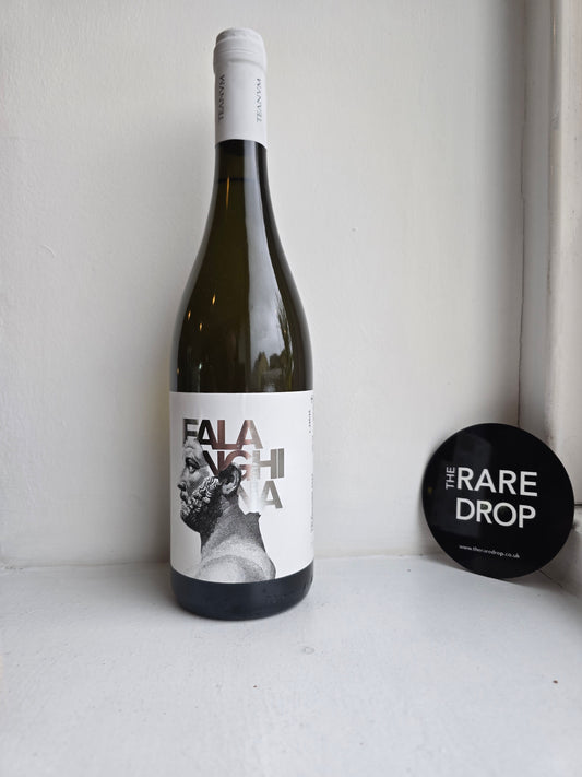 Favugnë | Falanghina 2024 | 12.5%